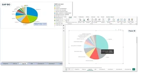 Screenshot: Pie charts – migrating from SAP BO to Power BI