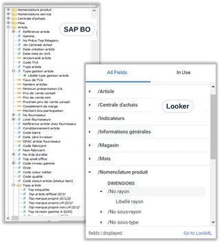 Capture d&rsquo;écran : Structure fonctionnelle – migrer de SAP BO vers GCP Looker