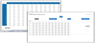 Capture d&rsquo;écran : Pivots et analyses matricielles – migrer de SAP BO vers GCP Looker